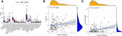 Increased Kremen2 predicts worse prognosis in colon cancer